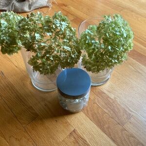 Flower Glass Vase Set W/Vase Glass Gems